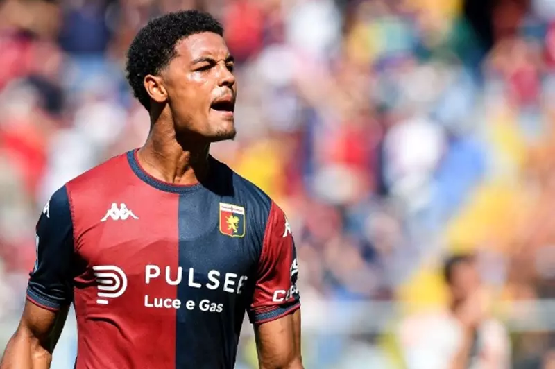 كوني دي وينتر